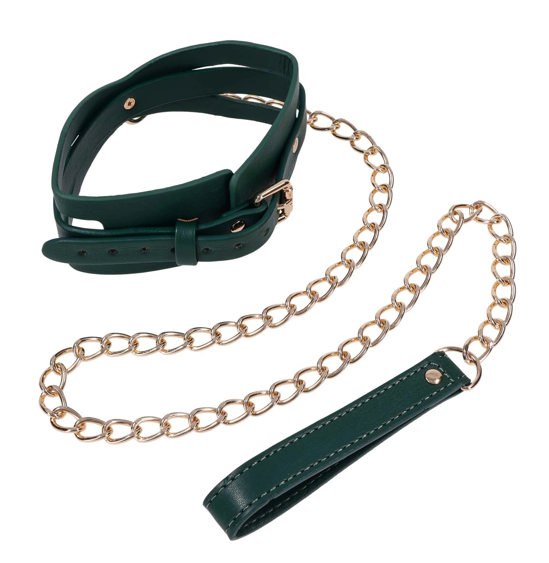 Collier et laisse découpés