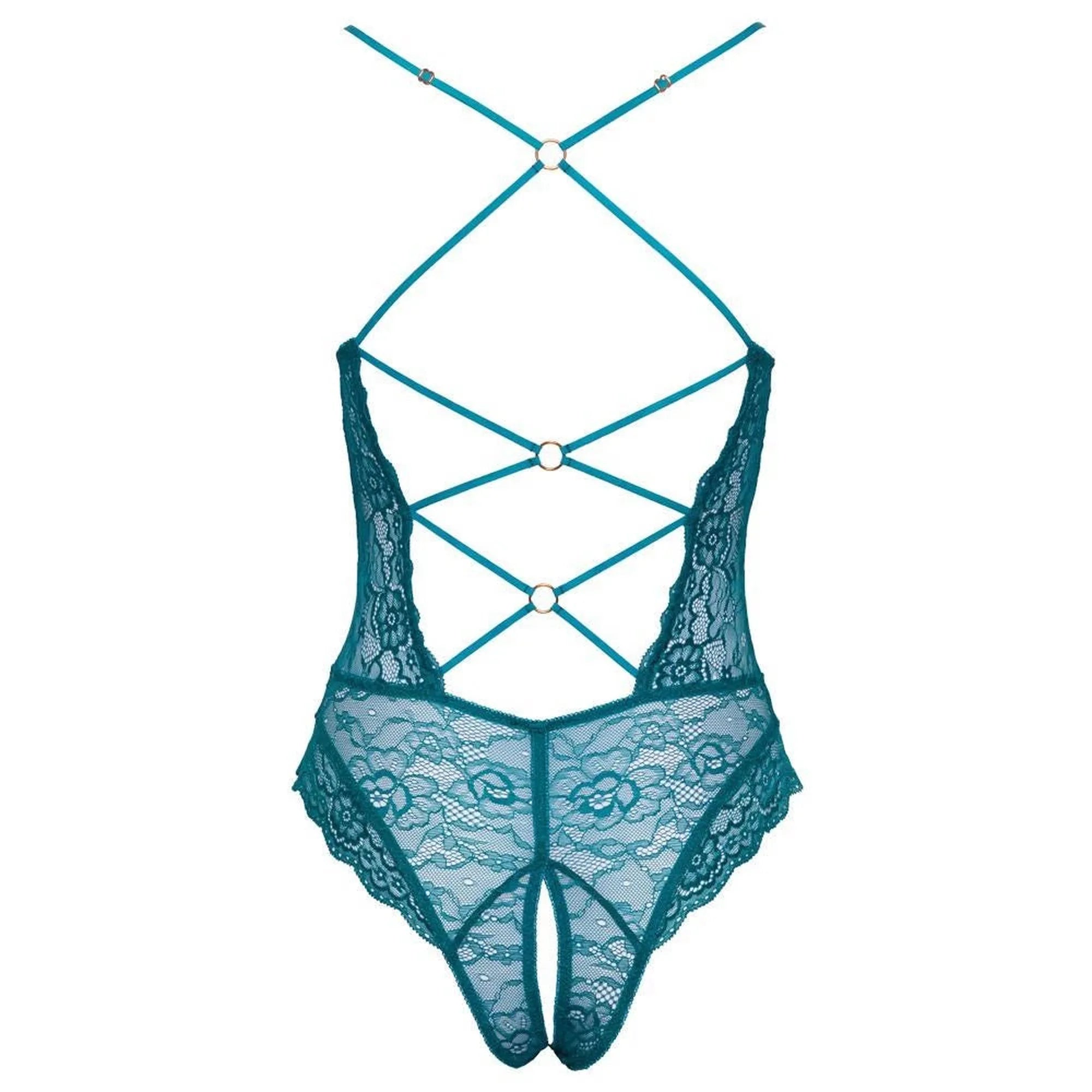 Body