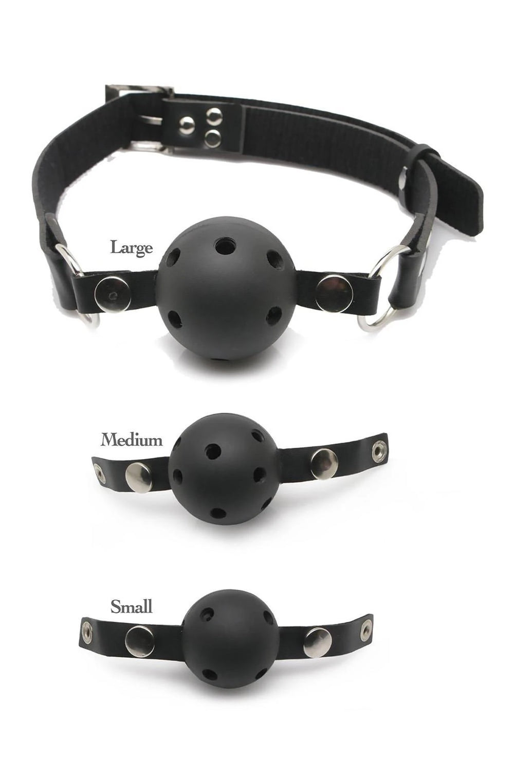 Ball Gag Training System