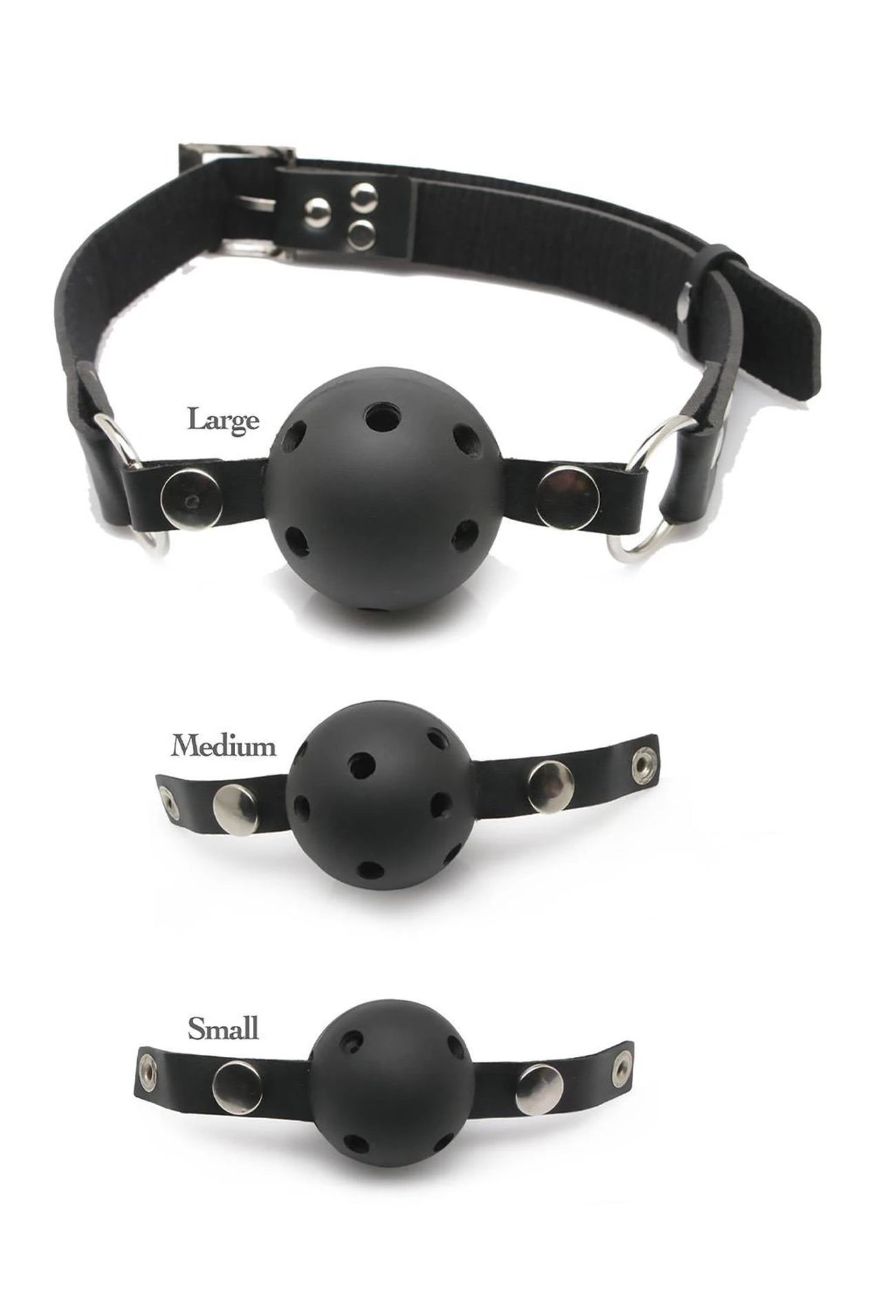 Ball Gag Training System