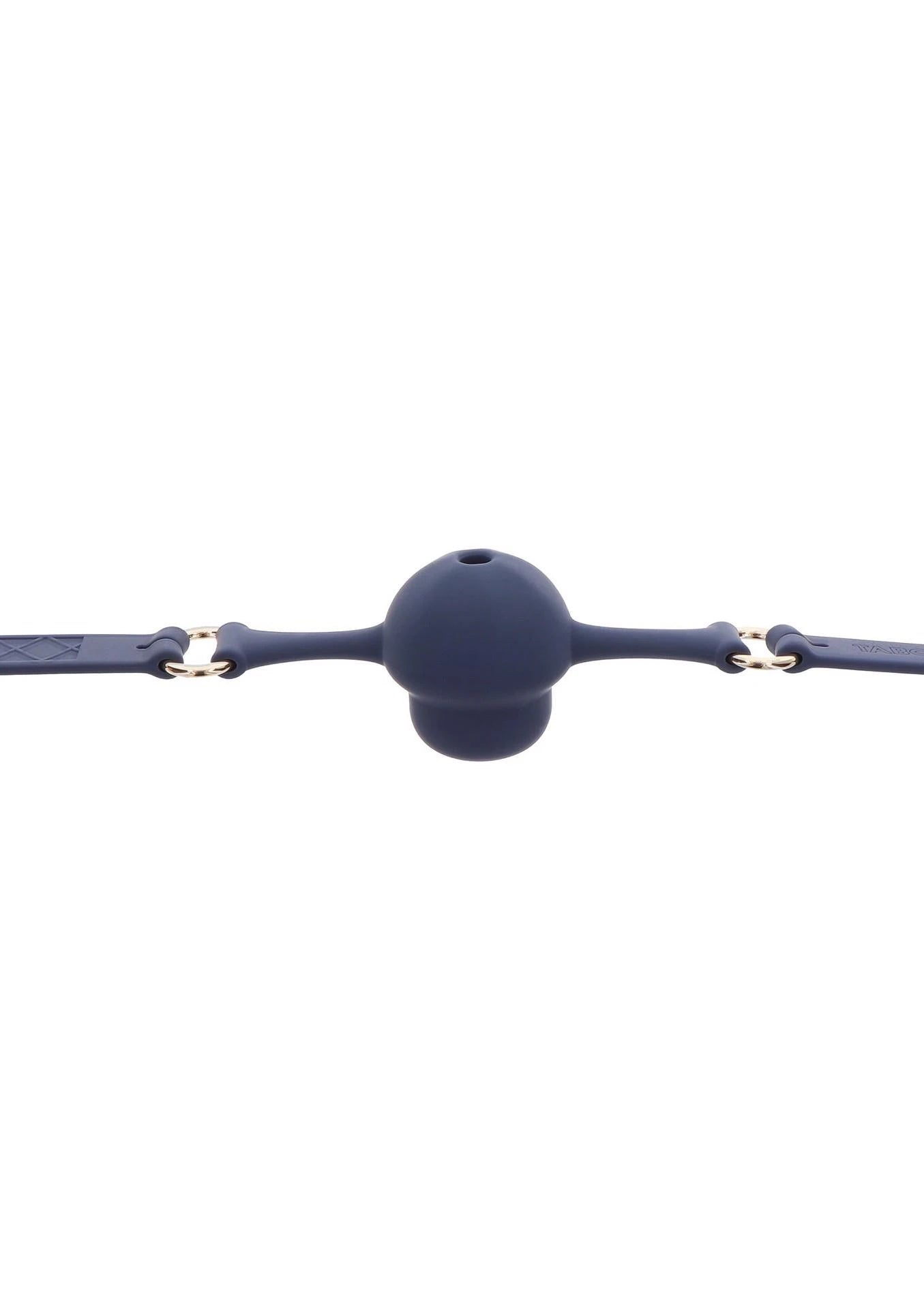 Silicone Mouth Gag Blue