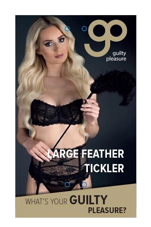 GRANDE PLUME CHATOUILLEUSE NOIRE